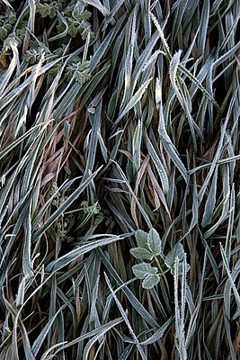 Meil on külmapoisid käinud, aga mina neid ei näinud :D