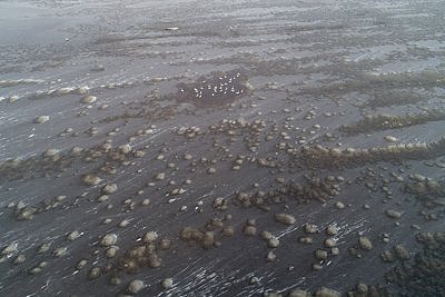 Marsil on ikkagi elu